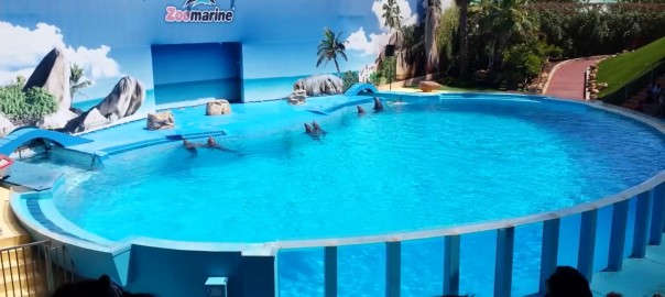 دلفیناریوم دبی