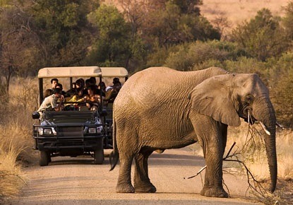 pilanesberg-park pilanesberg-park