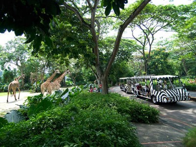 zoo zoo