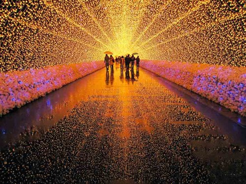 festivals-100__880 برترین فستیوالها