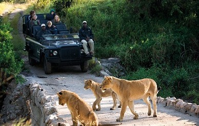 kruger پارک ملی کروگر
