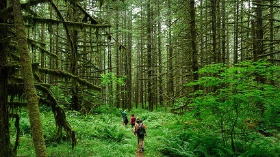 ecotourism اکوتوریسم