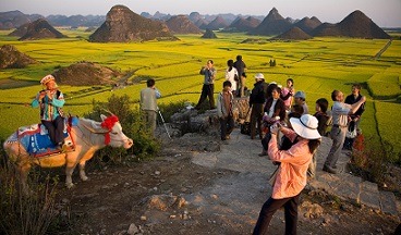 farm tourism گردشگری مزرعه
