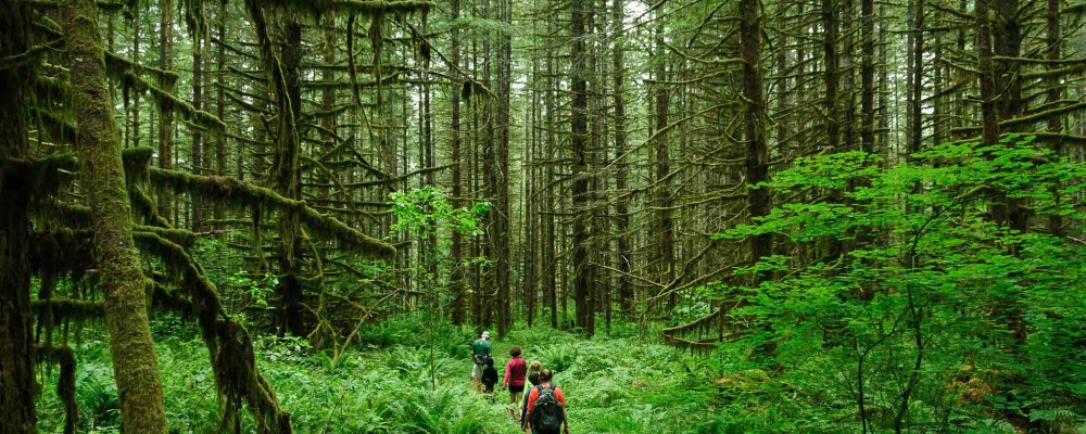 ecotourism1 اکوتوریسم
