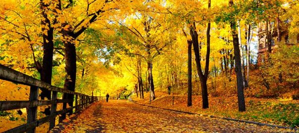 پاییز