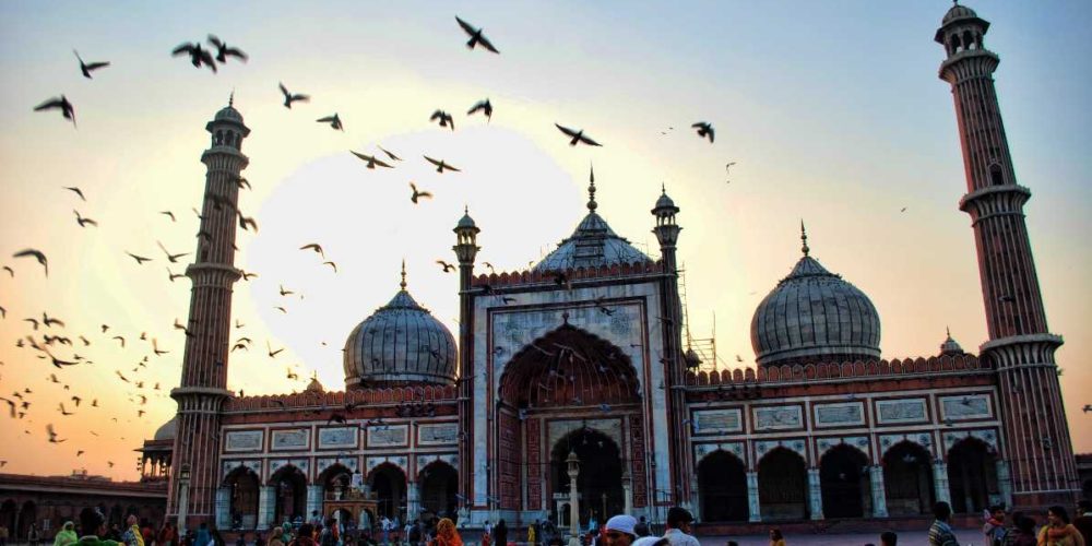 delhi delhi