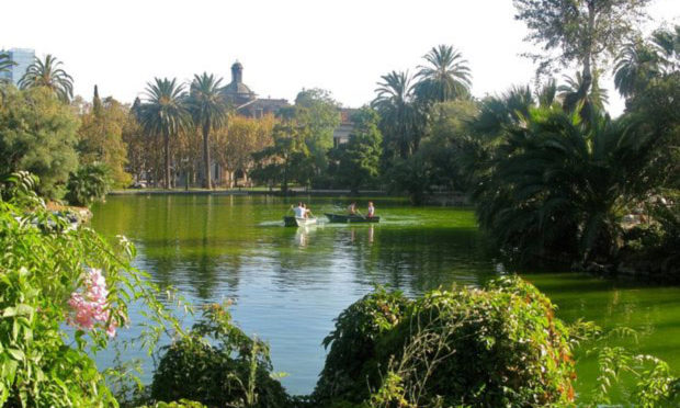 Local parks and green spaces Local parks and green spaces