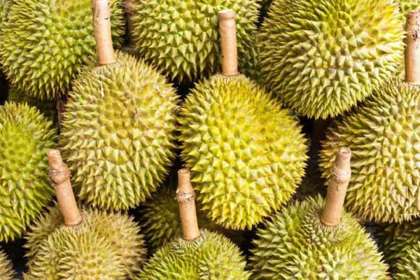 durian durian