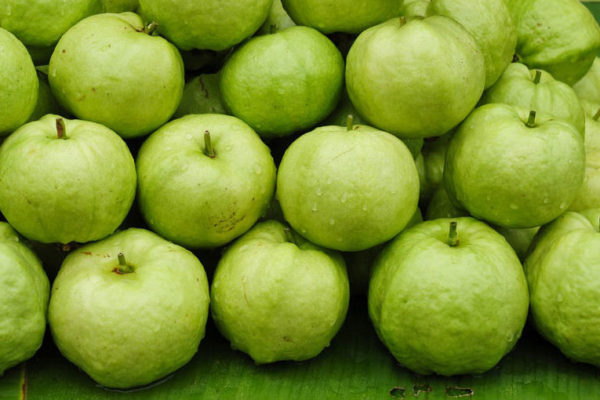guava guava