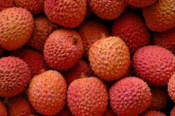 lychee lychee