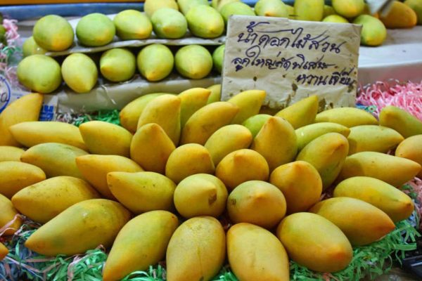 mango mango