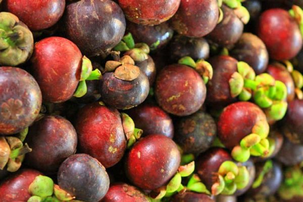 mangosteens mangosteens
