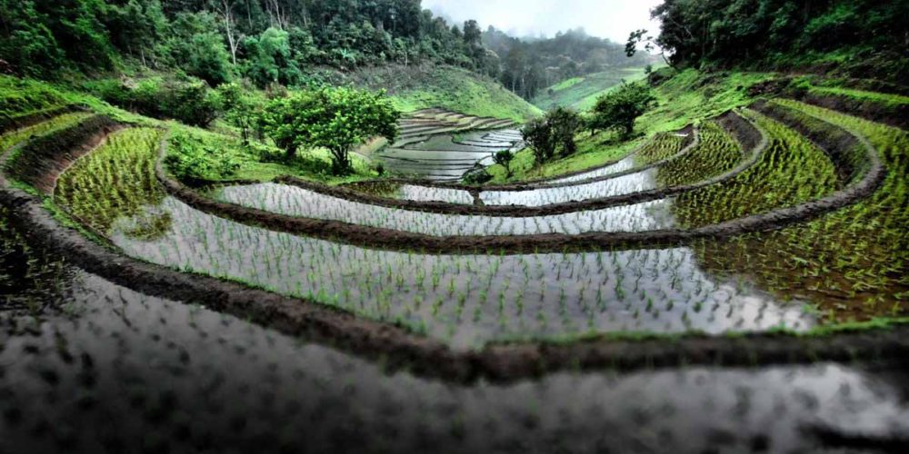 northern-Thailand northern-Thailand