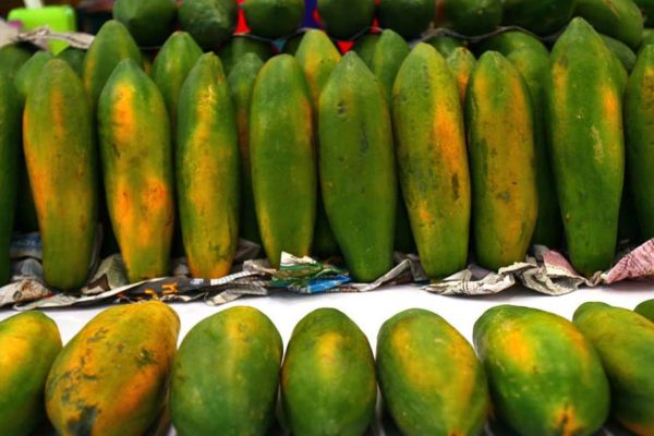 papaya papaya