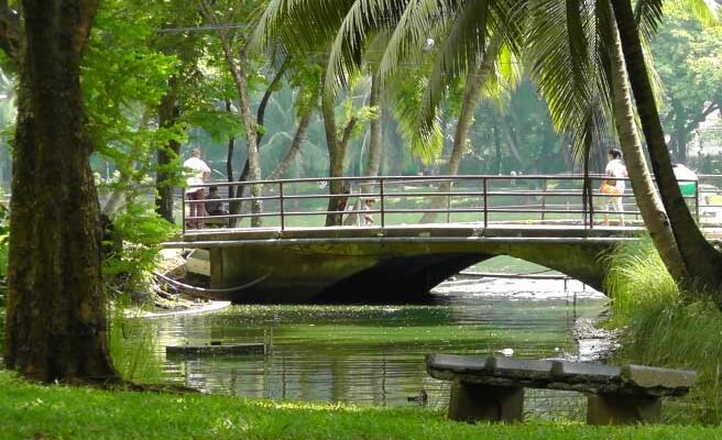 Lumphini Park3 Lumphini Park3