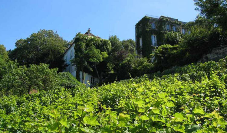 تاکستان های پاریس تاکستان های پاریس