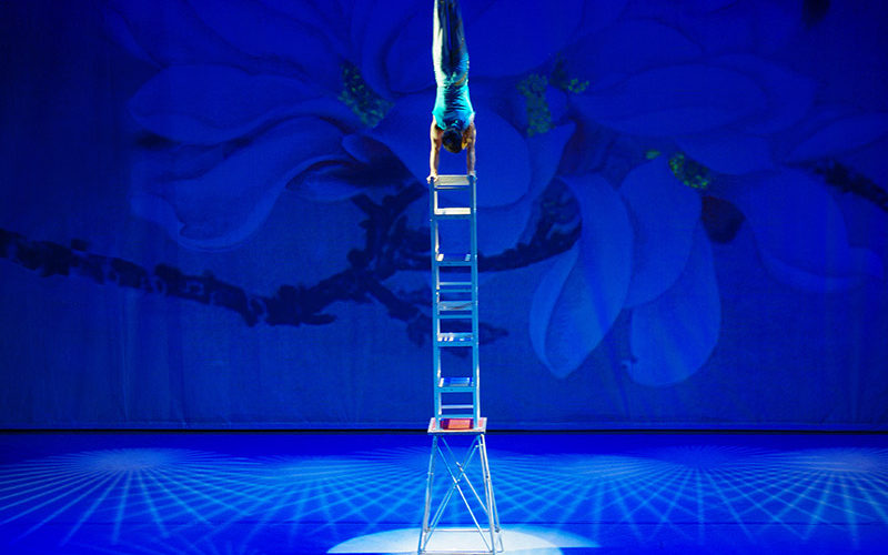 Acrobatic Show Acrobatic Show