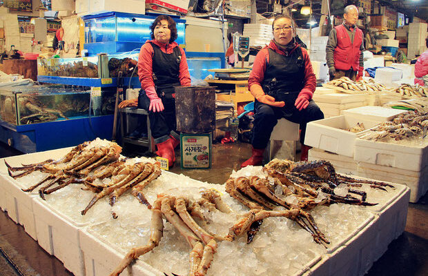 10-amazing-things-to-do-in-seoul-south-korea-fish-market-sabrina 10-amazing-things-to-do-in-seoul-south-korea-fish-market-sabrina