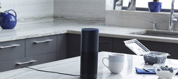 smart speaker