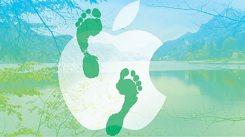 Apple Apple