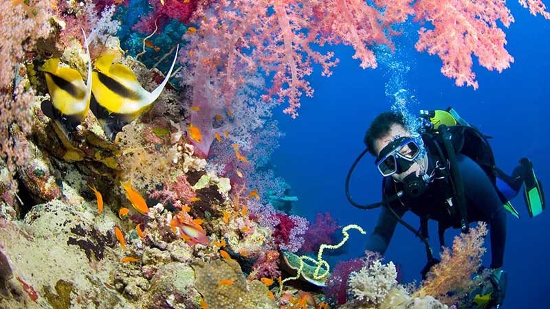 cairo sharm elsheikh cairo sharm elsheikh