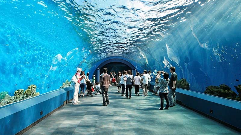 underwater world underwater world