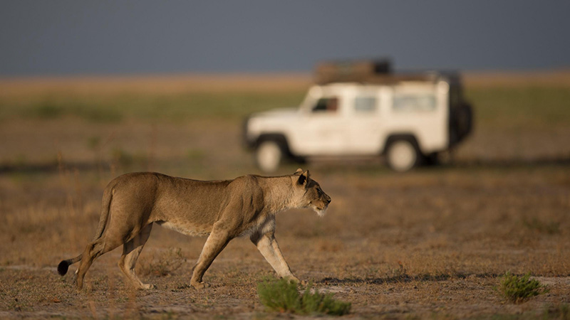 liuwa plain national park liuwa plain national park