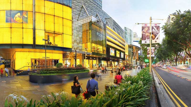 orchard orchard