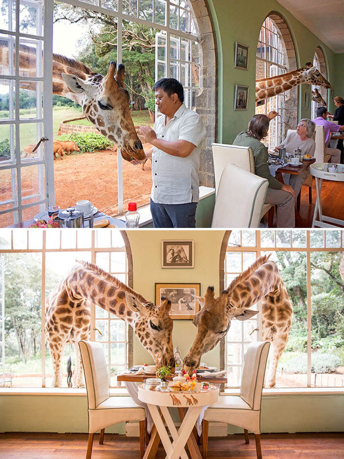 رستوران Giraffe Manor رستوران Giraffe Manor