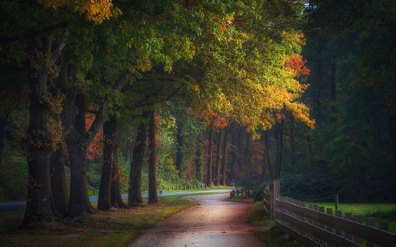 تغییر فصل تغییر فصل