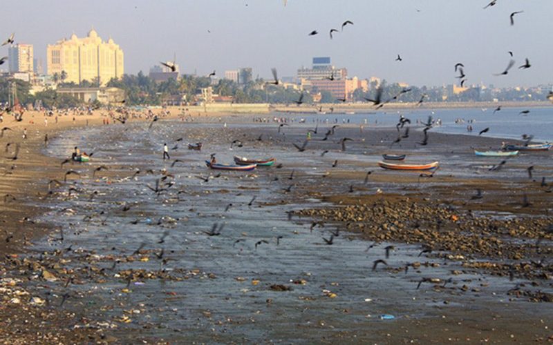 ساحل Chowpatty ساحل Chowpatty