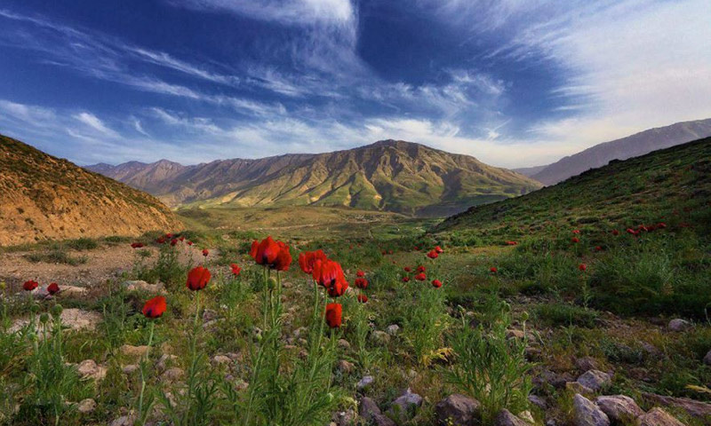 پارک ملی لار پارک ملی لار