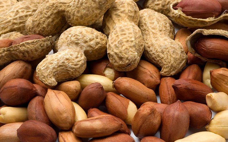 آلرژی به بادام زمینی آلرژی به بادام زمینی