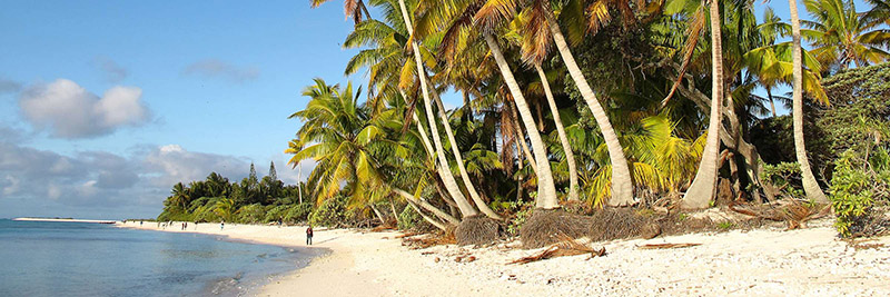 جزیره Pitcairn جزیره Pitcairn