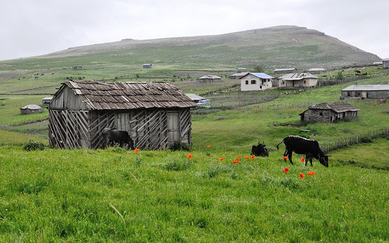 ییلاق سرسبز سوباتان ییلاق سرسبز سوباتان
