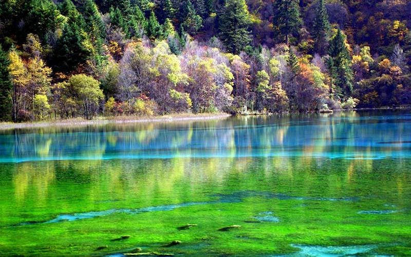 طبیعتی رویایی طبیعتی رویایی
