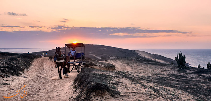 اسب سواری در Jericoacoara اسب سواری در Jericoacoara
