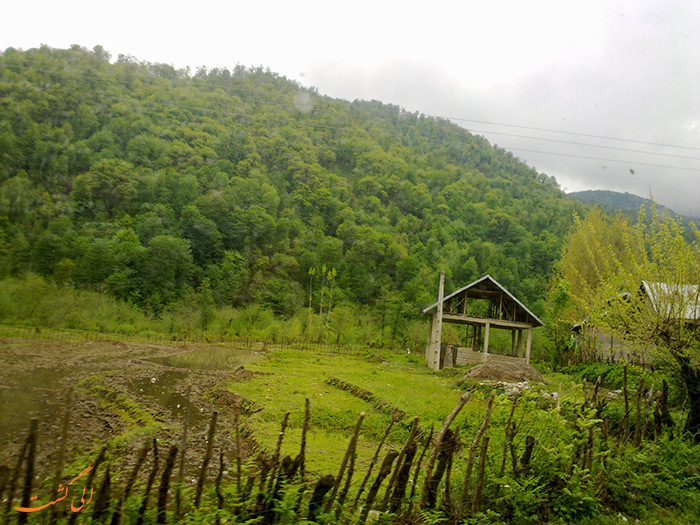 طبیعت زیبای سیاهکل طبیعت زیبای سیاهکل