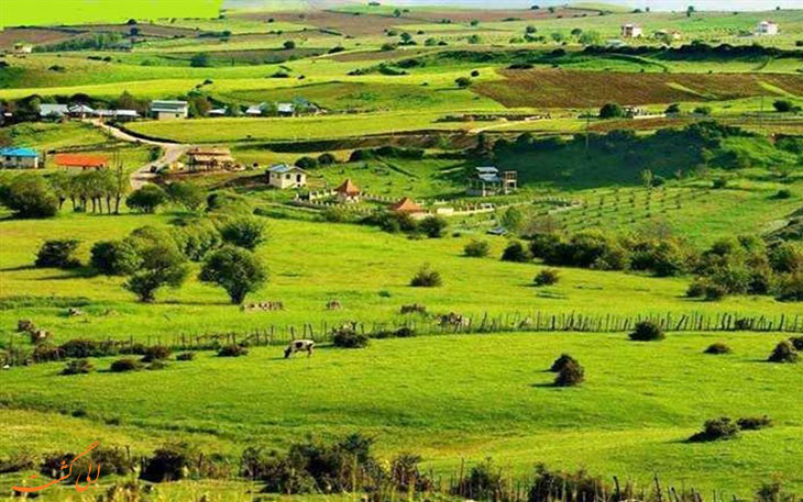 ییلاق دیلمان ییلاق دیلمان