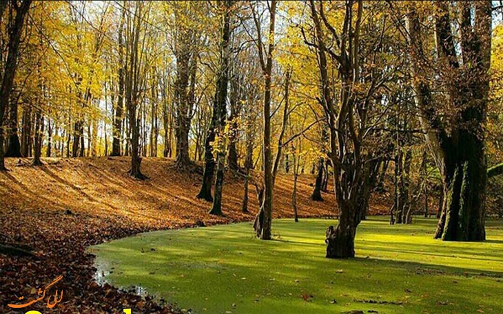 مرداب زیبای هسل در چالوس مرداب زیبای هسل در چالوس
