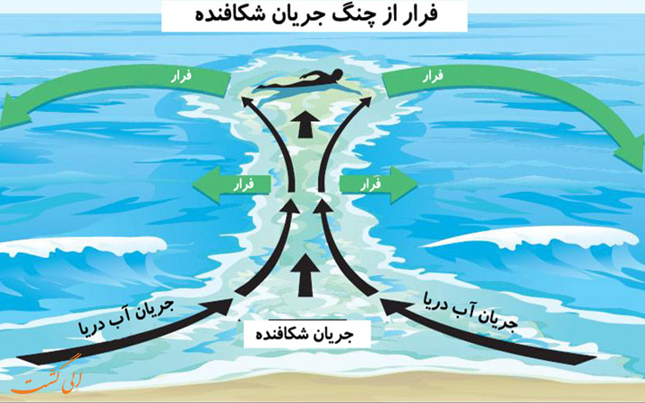 مرگ و میر دریا مرگ و میر دریا