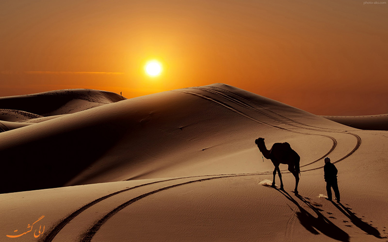کویر مصر کویر مصر