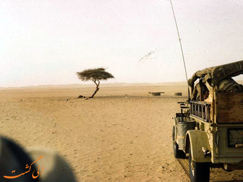 تنر تنر