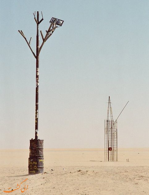 درخت آهنی تنر درخت آهنی تنر