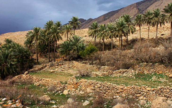 روستای دیدین لیوس روستای دیدین لیوس
