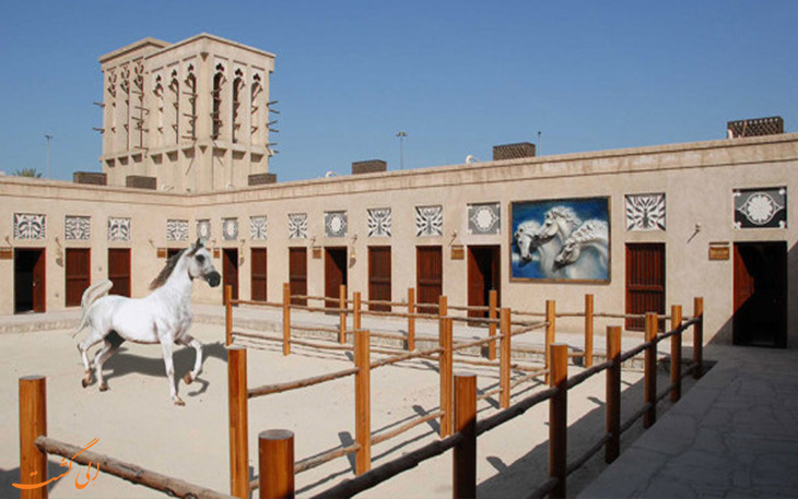 موزه اسب در دبی موزه اسب در دبی