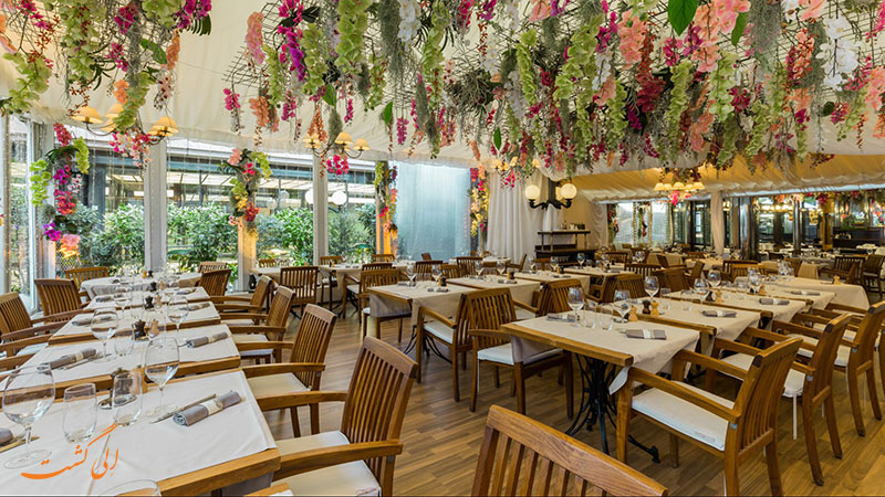 کافه Brasserie Lipp کافه Brasserie Lipp