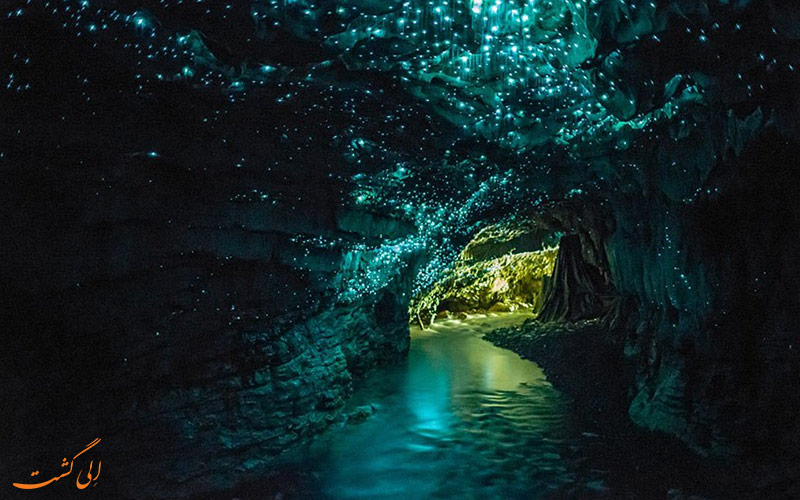 غارهای Waitomo غارهای Waitomo