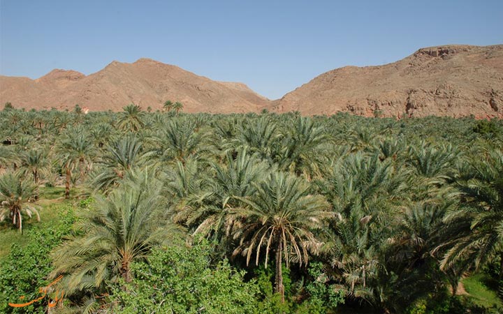روستای گرمه روستای گرمه