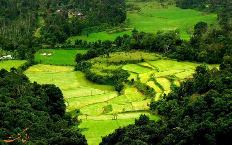 شهر کوچک Coorg شهر کوچک Coorg